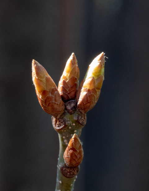 Spring Check Up on the&nbsp;Blog